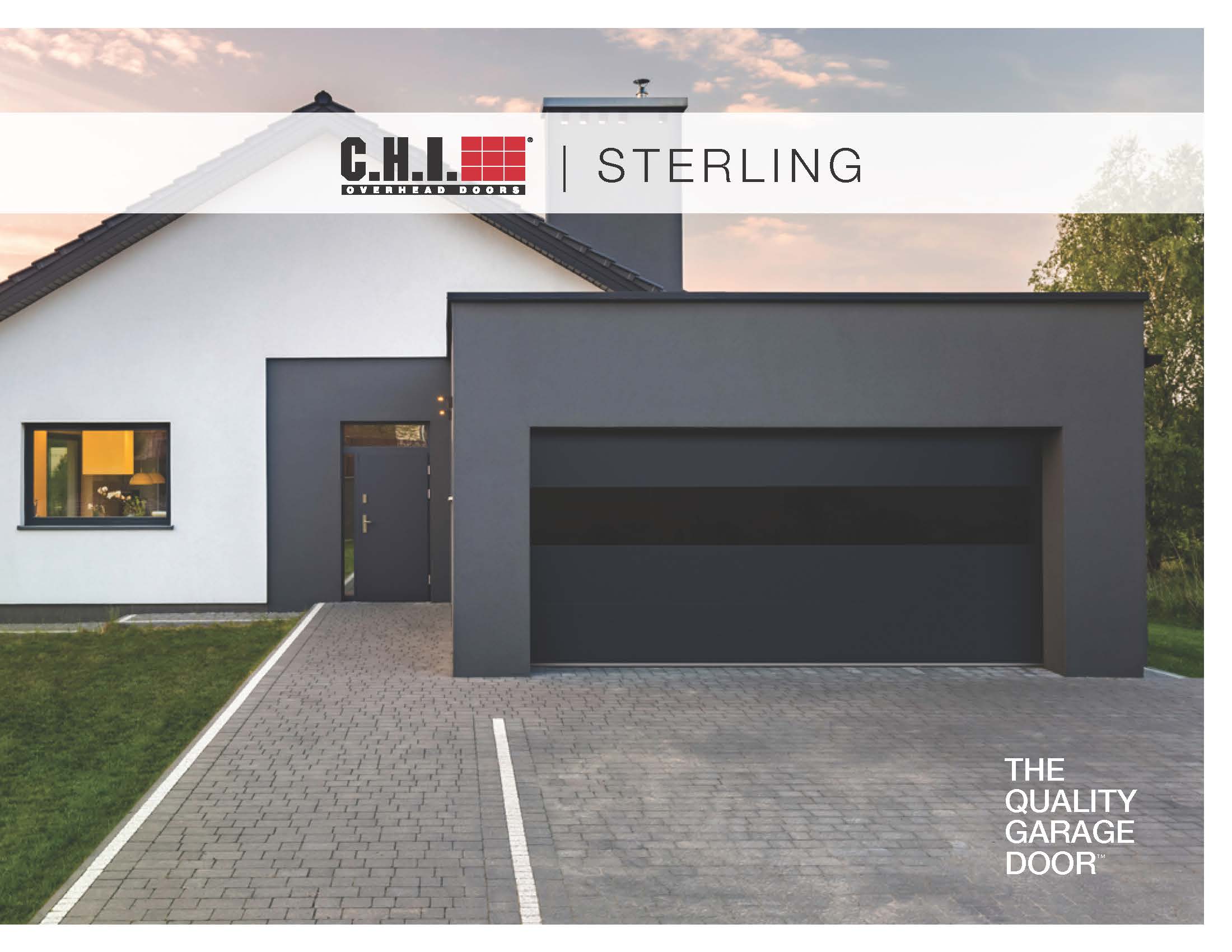 This is an image of a black garage door with black windows.