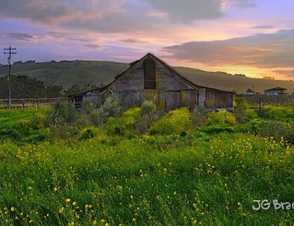 This is an image of a barn in Sonoma County, CA.