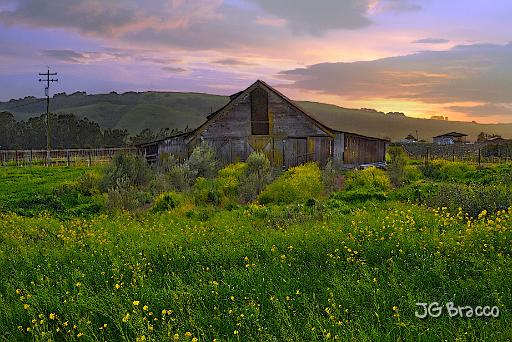 This is an image of a barn in Sonoma County, CA.