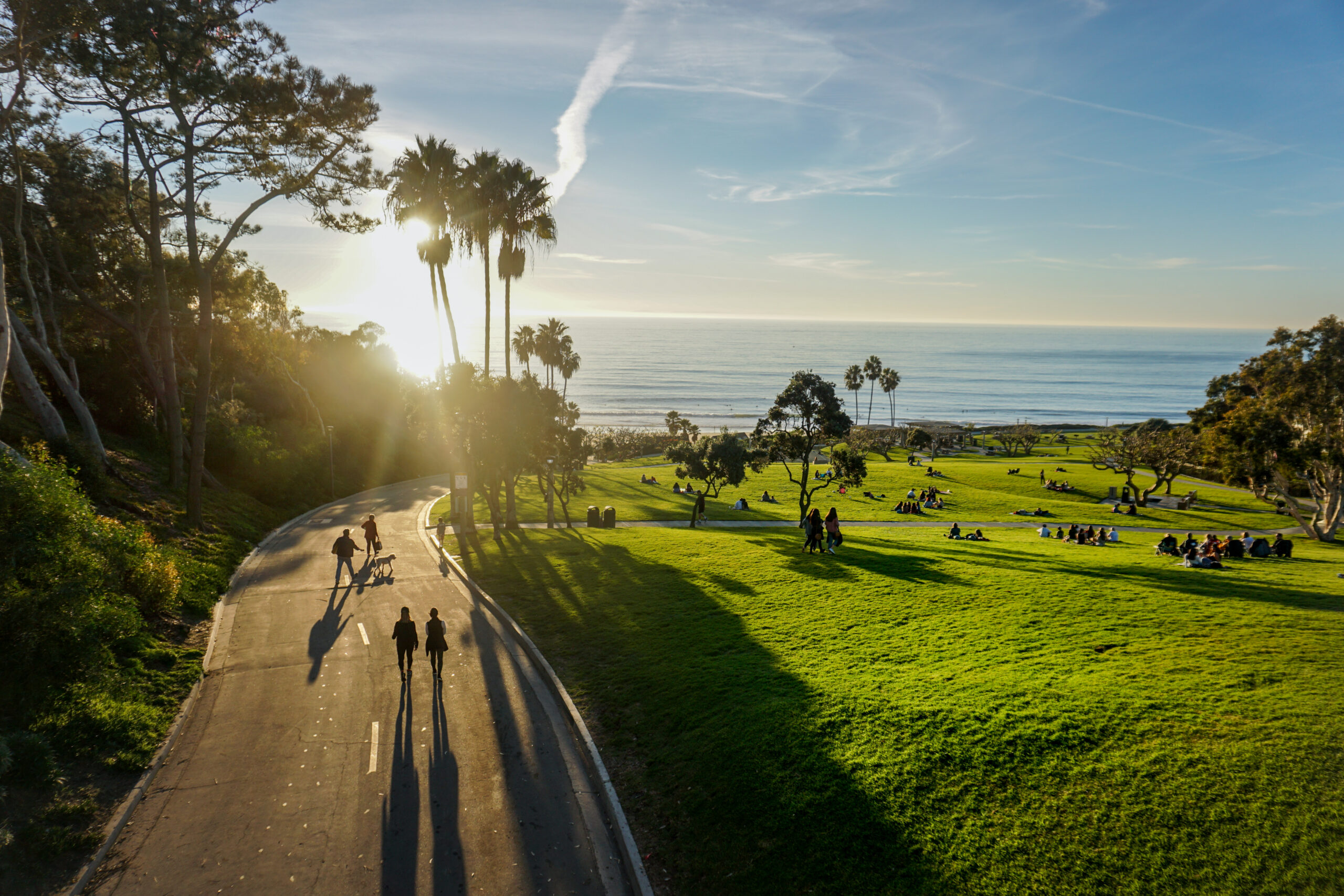 This is an image of the hill down to Salt Creek Beach, California.
