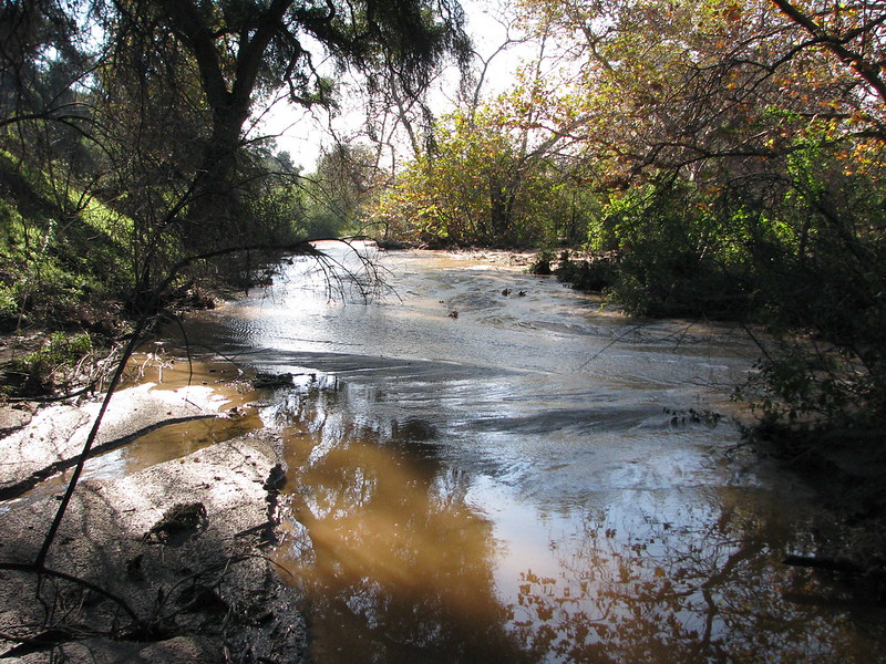 This is an image of White Ranch park in Foothill Ranch, CA. There are trees and a flowing river.