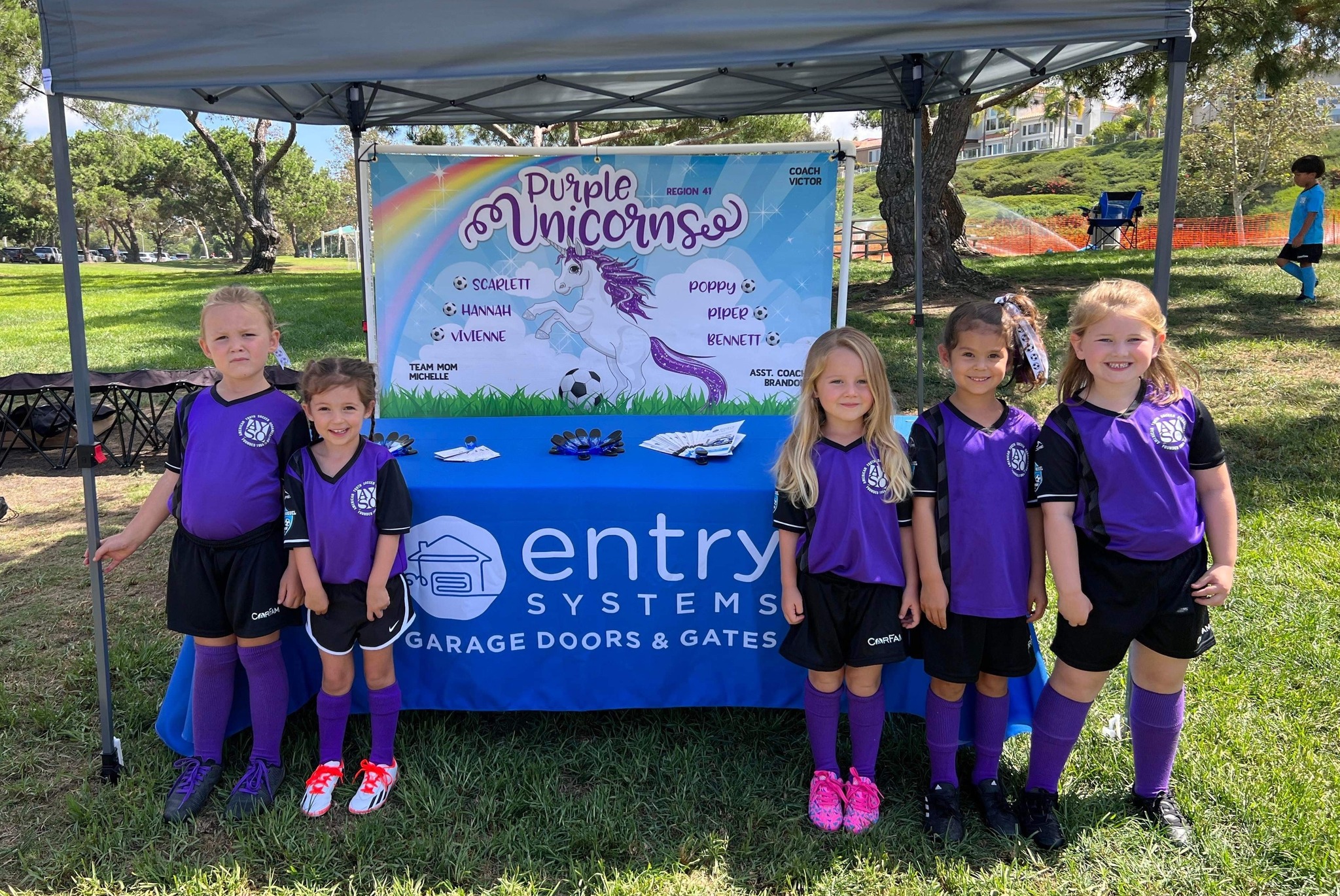 Image of Laguna Beach AYSO Purple Unicorn Soccer Team in front of Entry Systems banner.