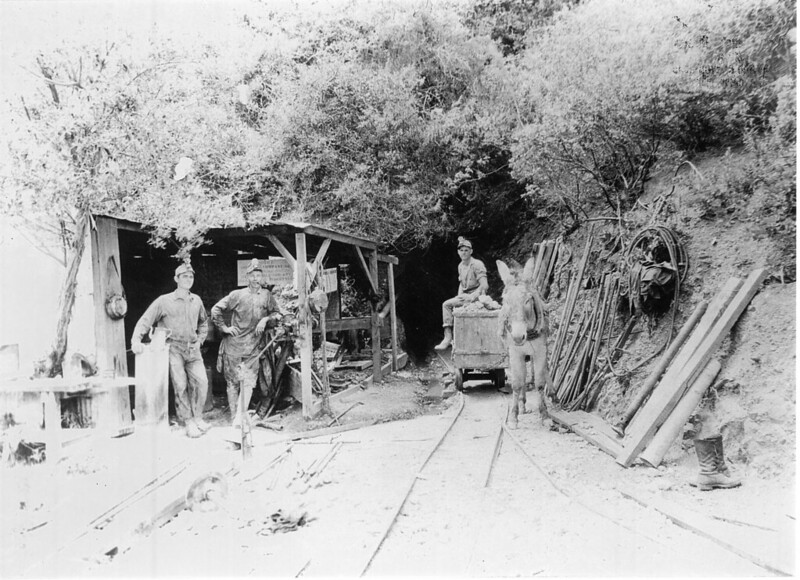 B&W image of miners with donkey in Silverado Canyon, historic image.