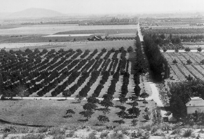 Looking south across Villa Park, circa 1894
Photo courtesy Orange County Archives.