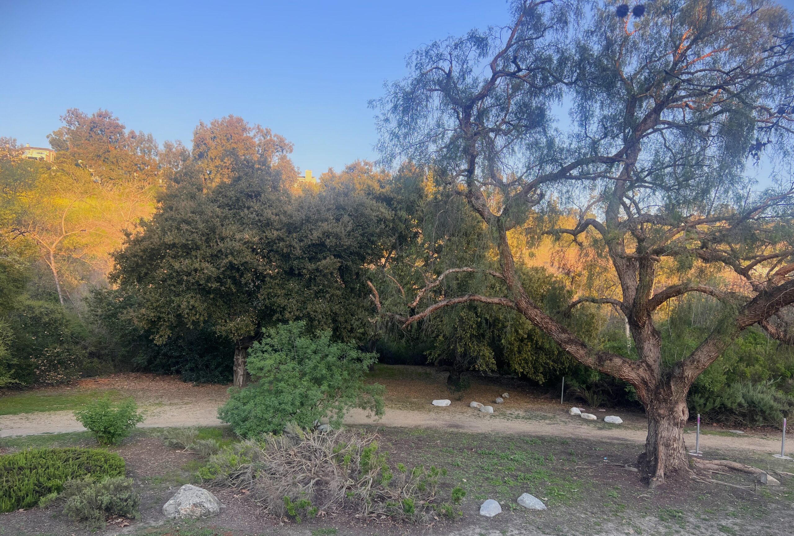 Trail towards Laguna Niguel Regional Park.