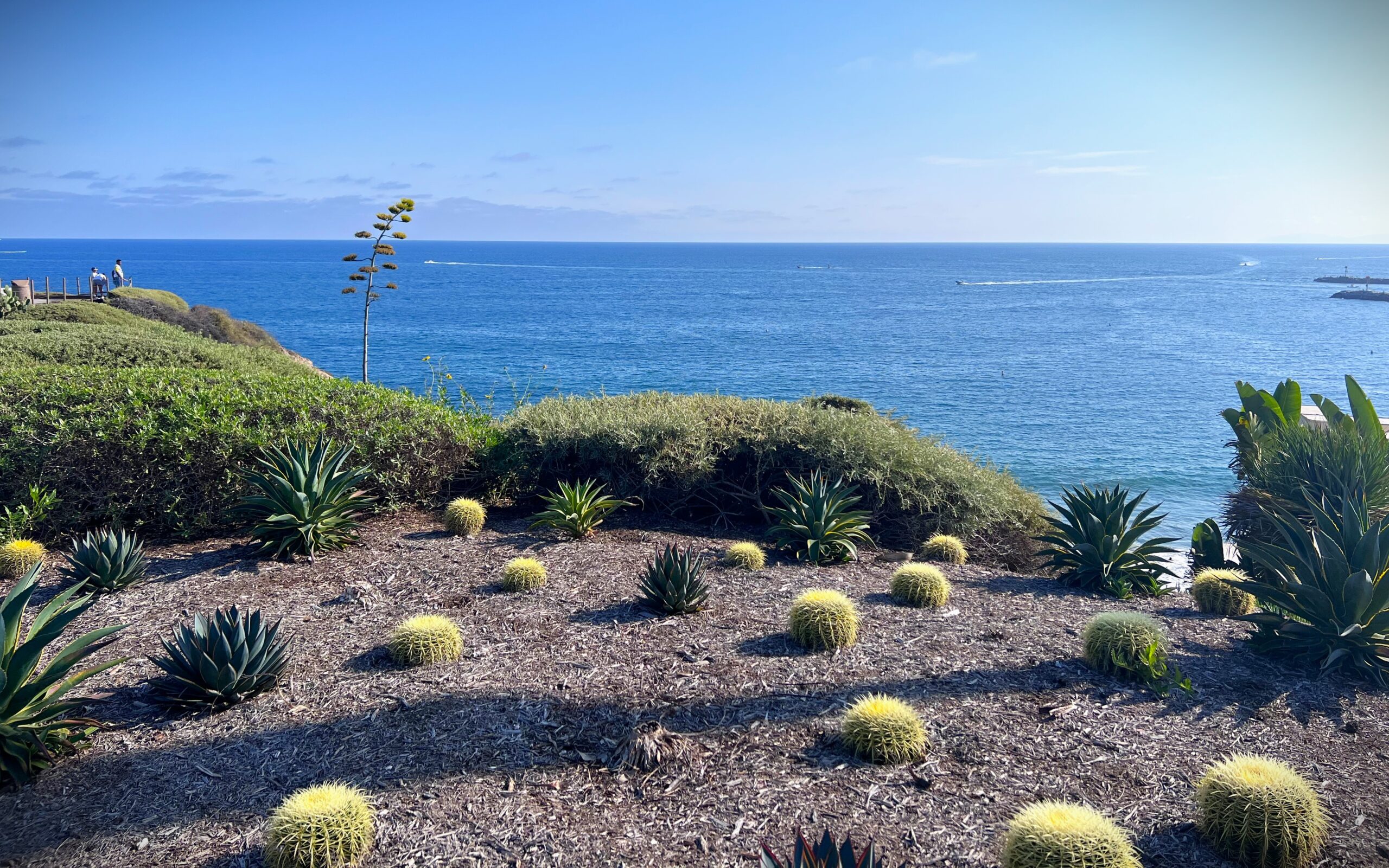 Corona del Mar ocean view.