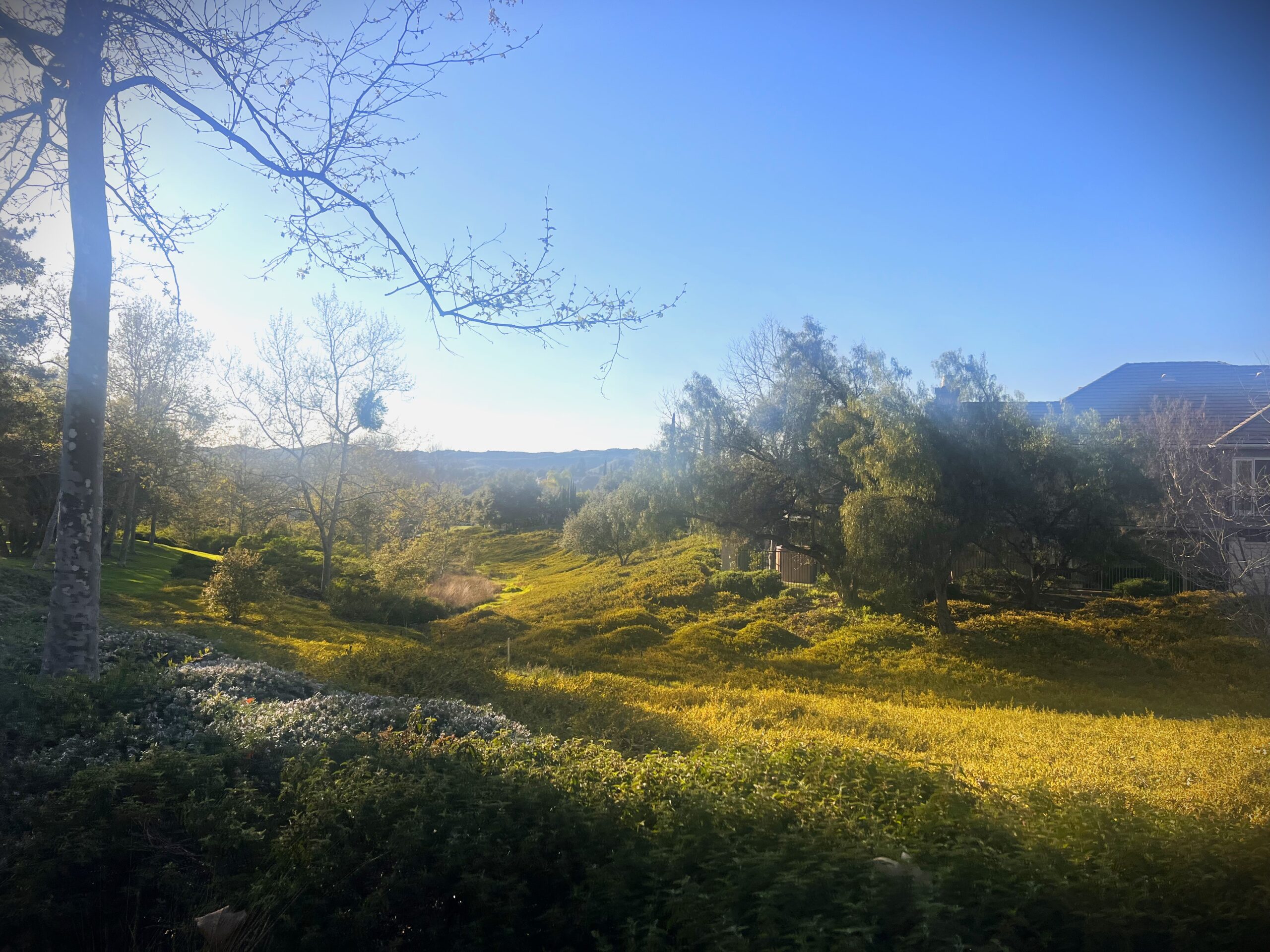 Coto de Caza gated community nature, including hills, grass and trees