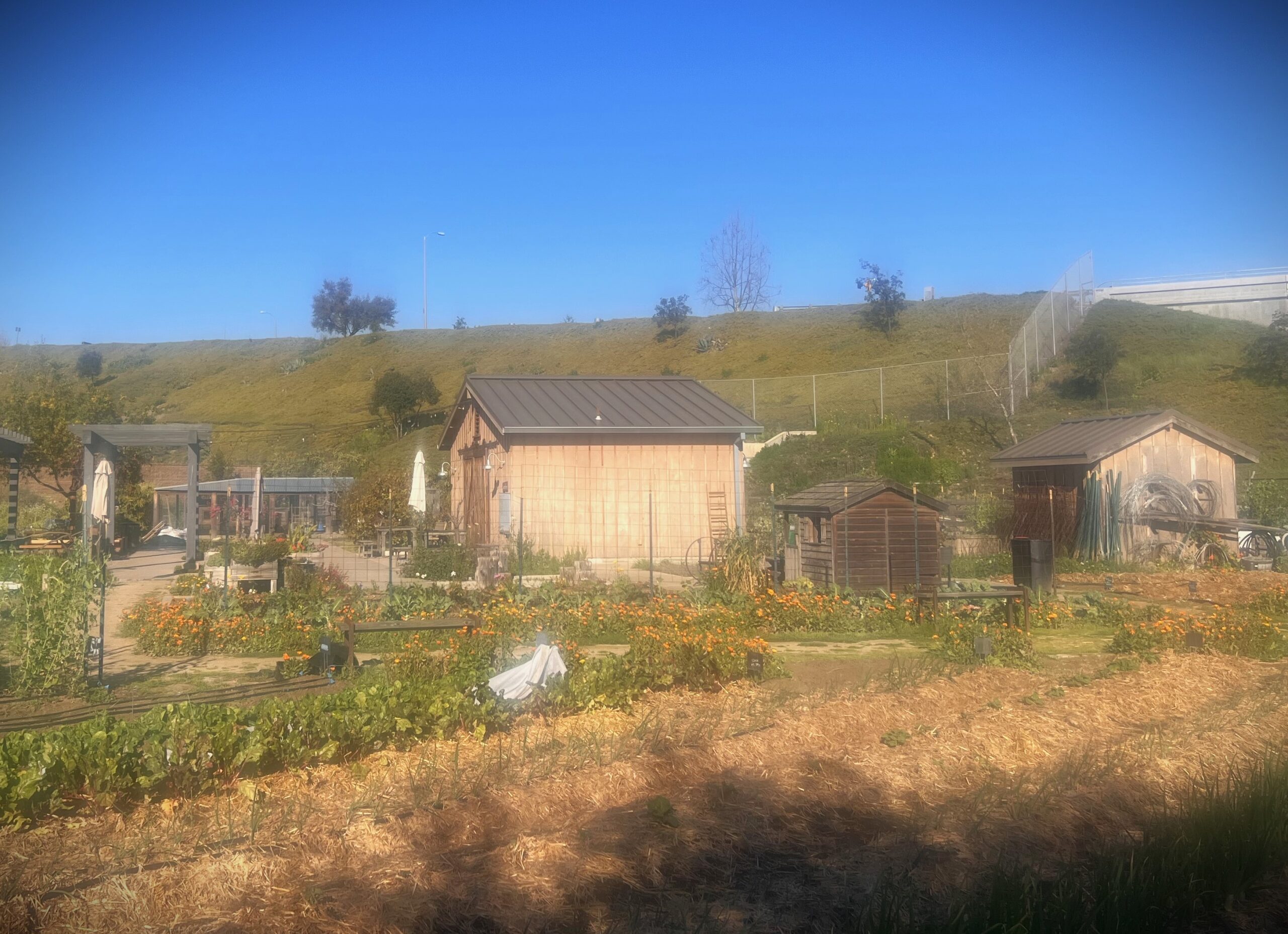 Farm in Rancho Mission Viejo