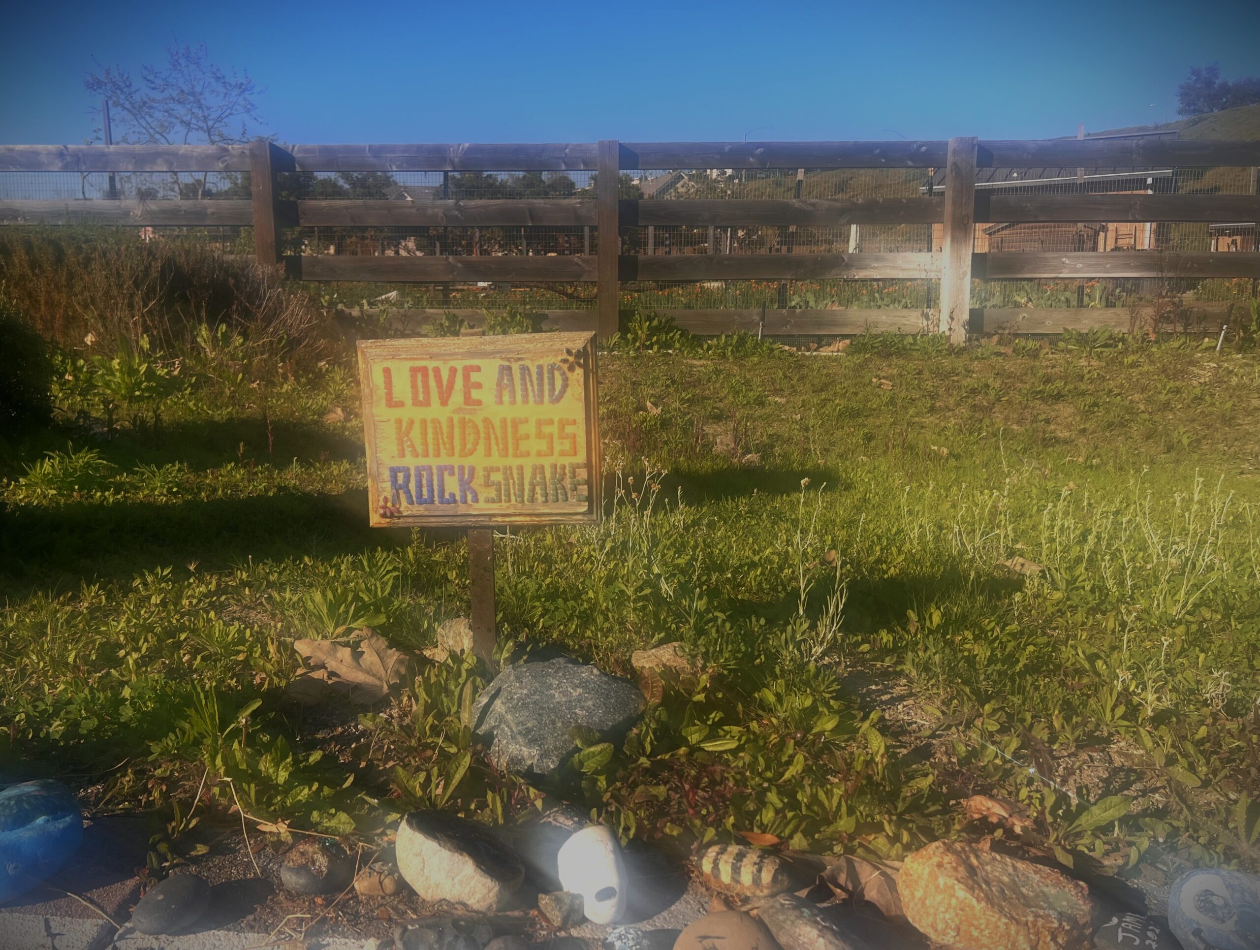brightly painted rocks and sign in rancho mission viejo ca