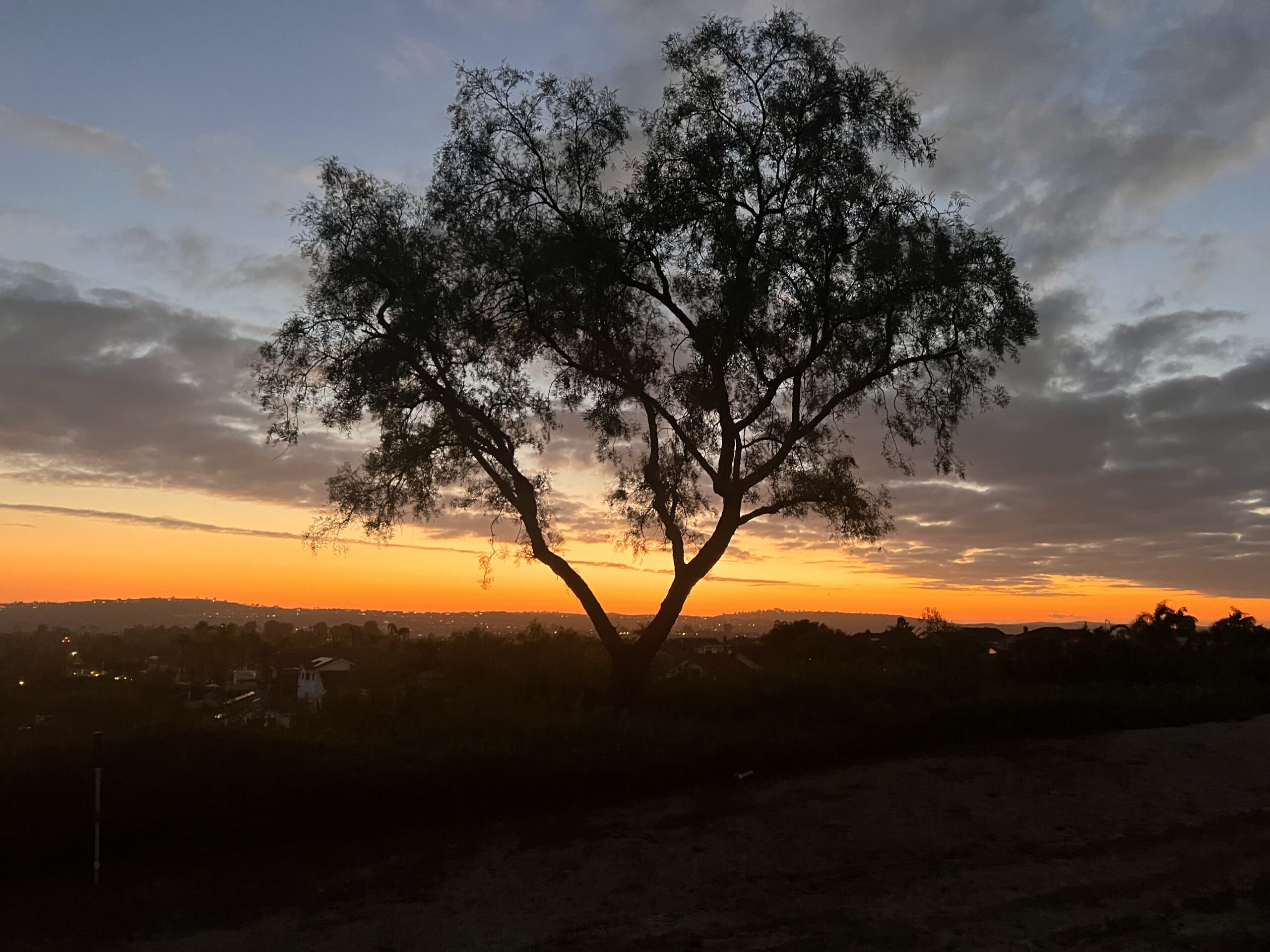 san juan capistrano sunset with a tree shadow