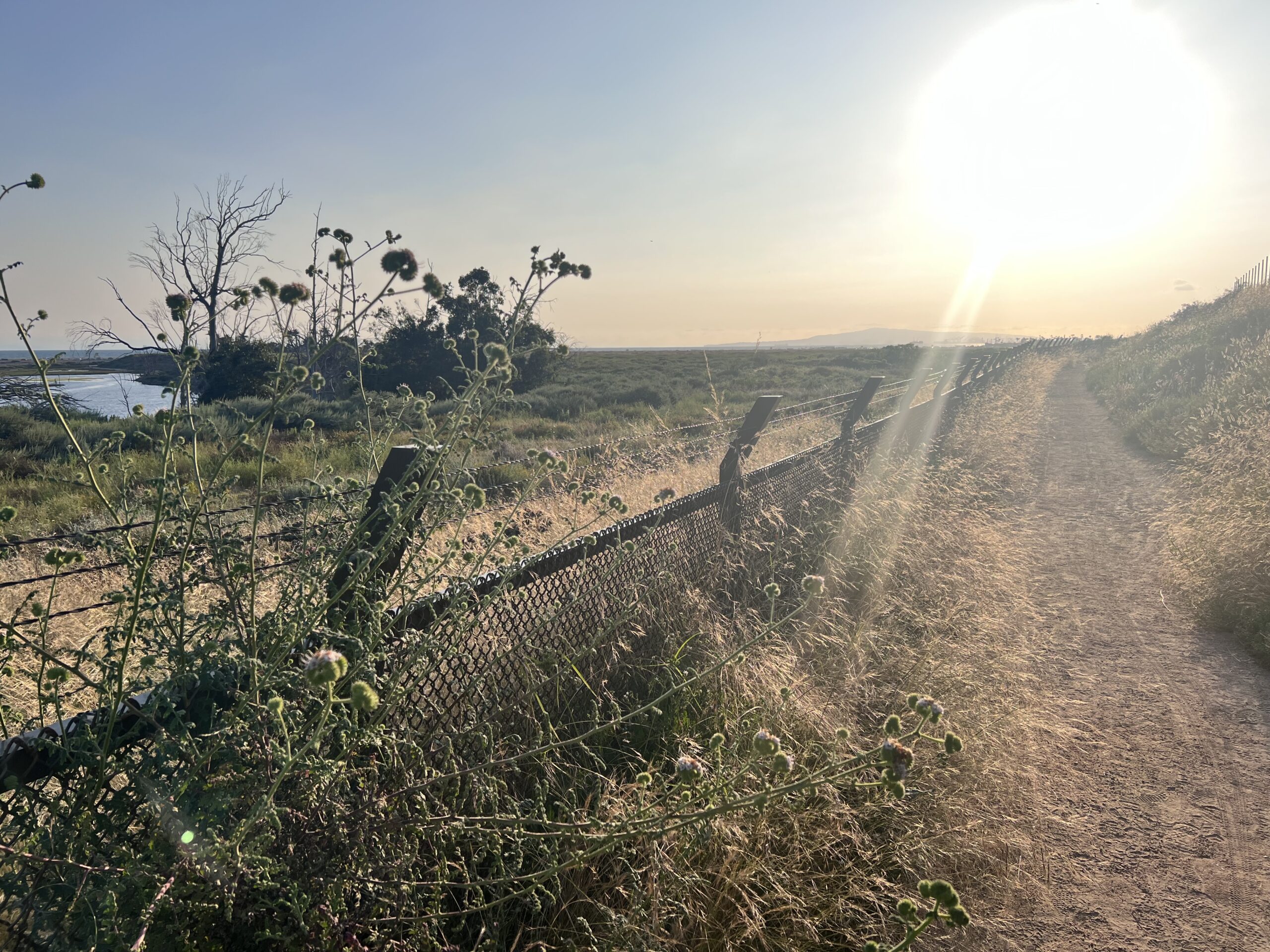 Trail at Bolsa Chica with fence at sunset in Huntington Beach