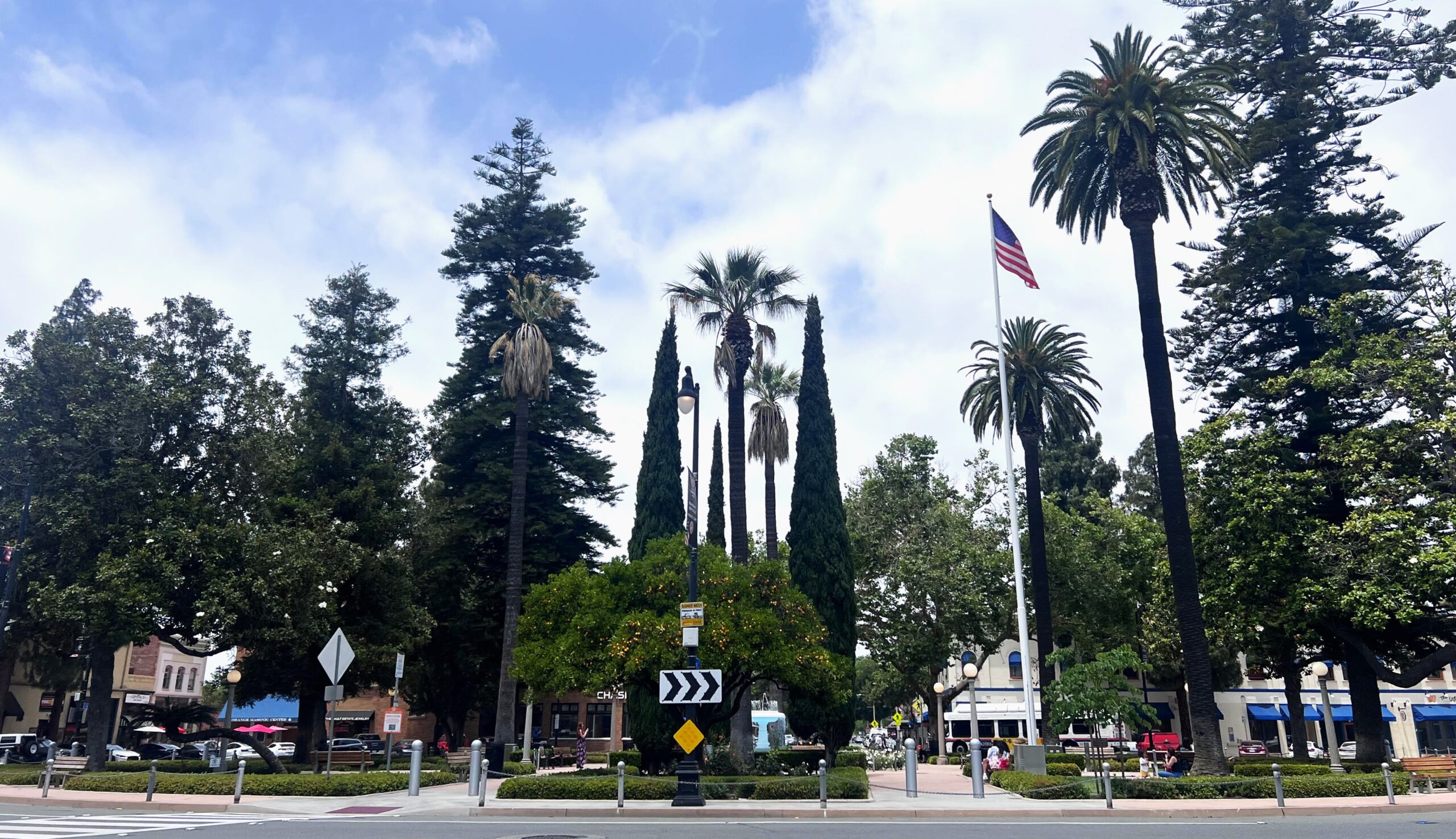 Orange traffic circle with businesses and cars