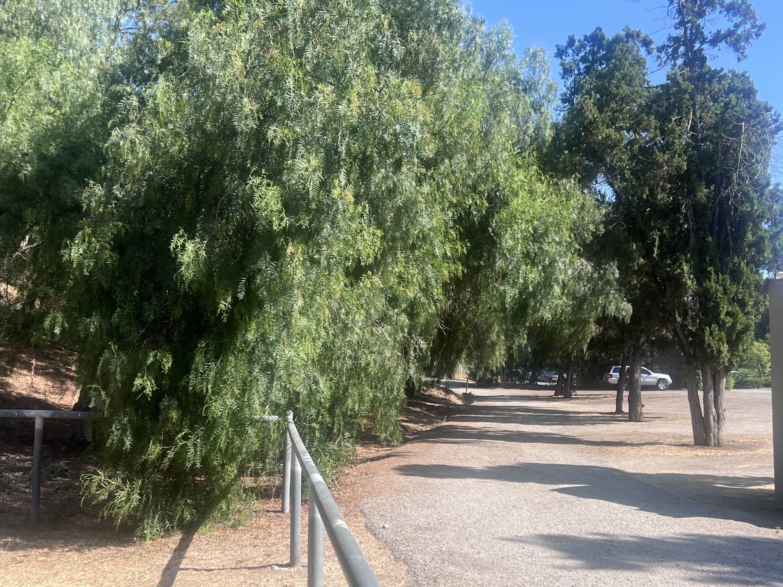 trail in fullerton with trees and parking lot