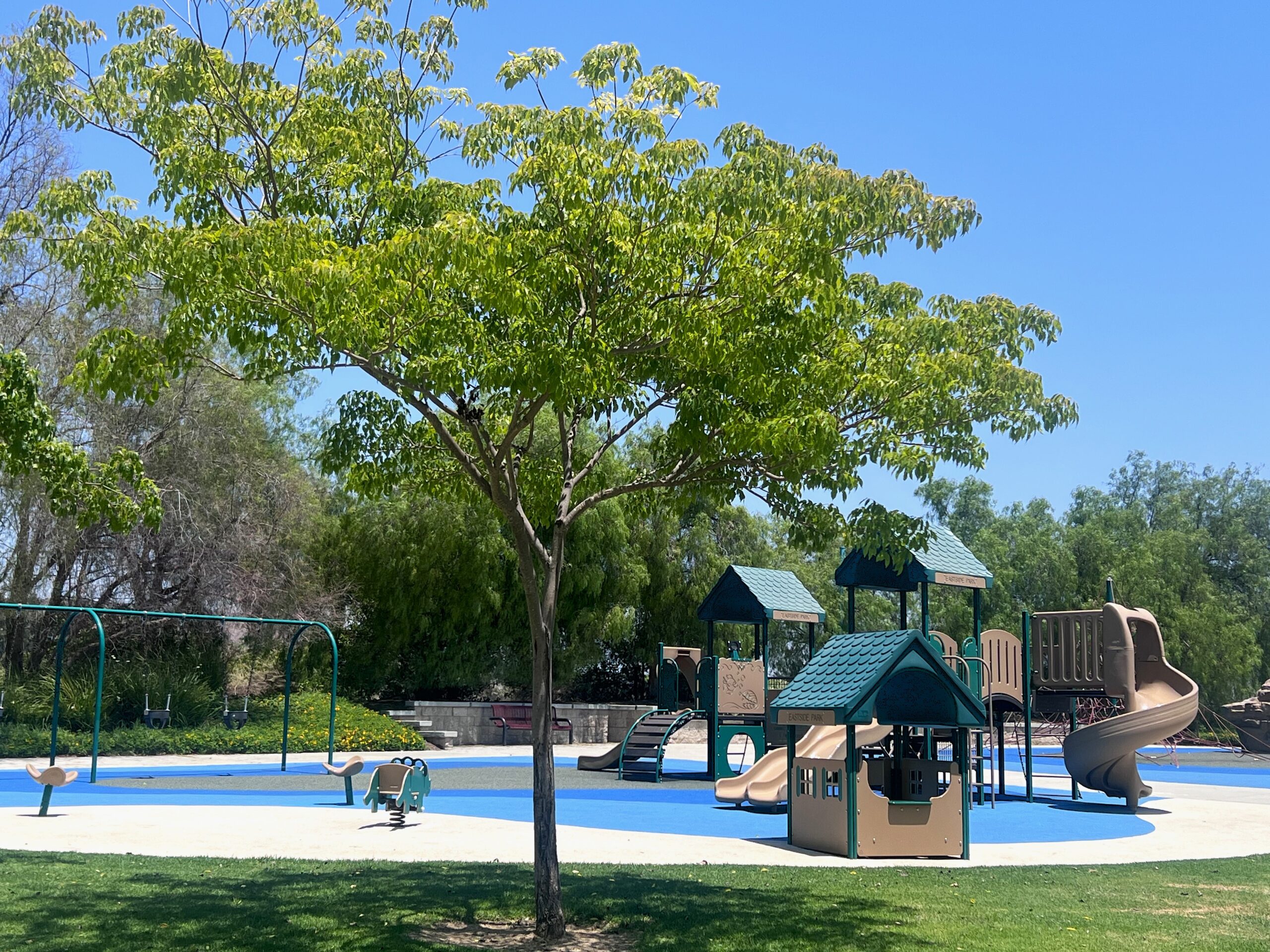 playground with trees and equipment in Yorba Linda