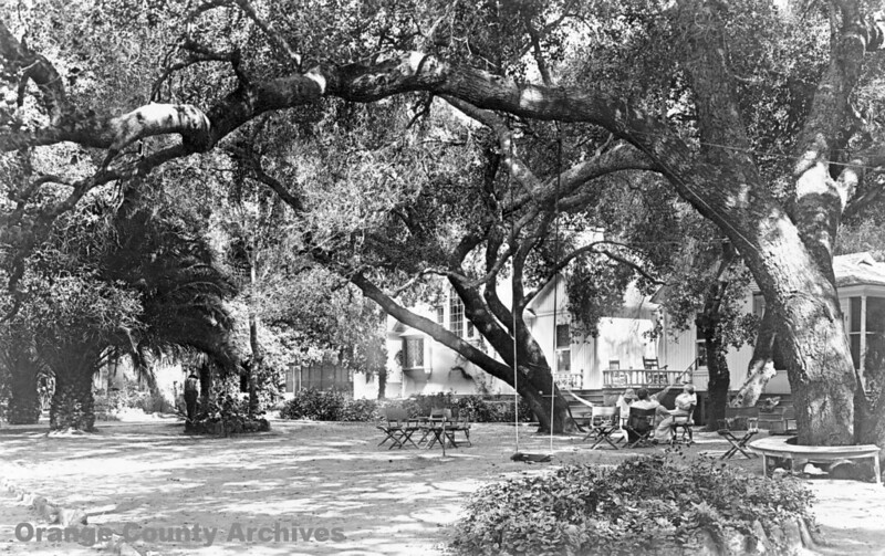 white home with large oak trees.