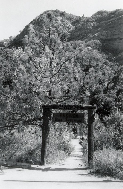 Mountains, trees and fence overhang to Tucker Sanctuary.