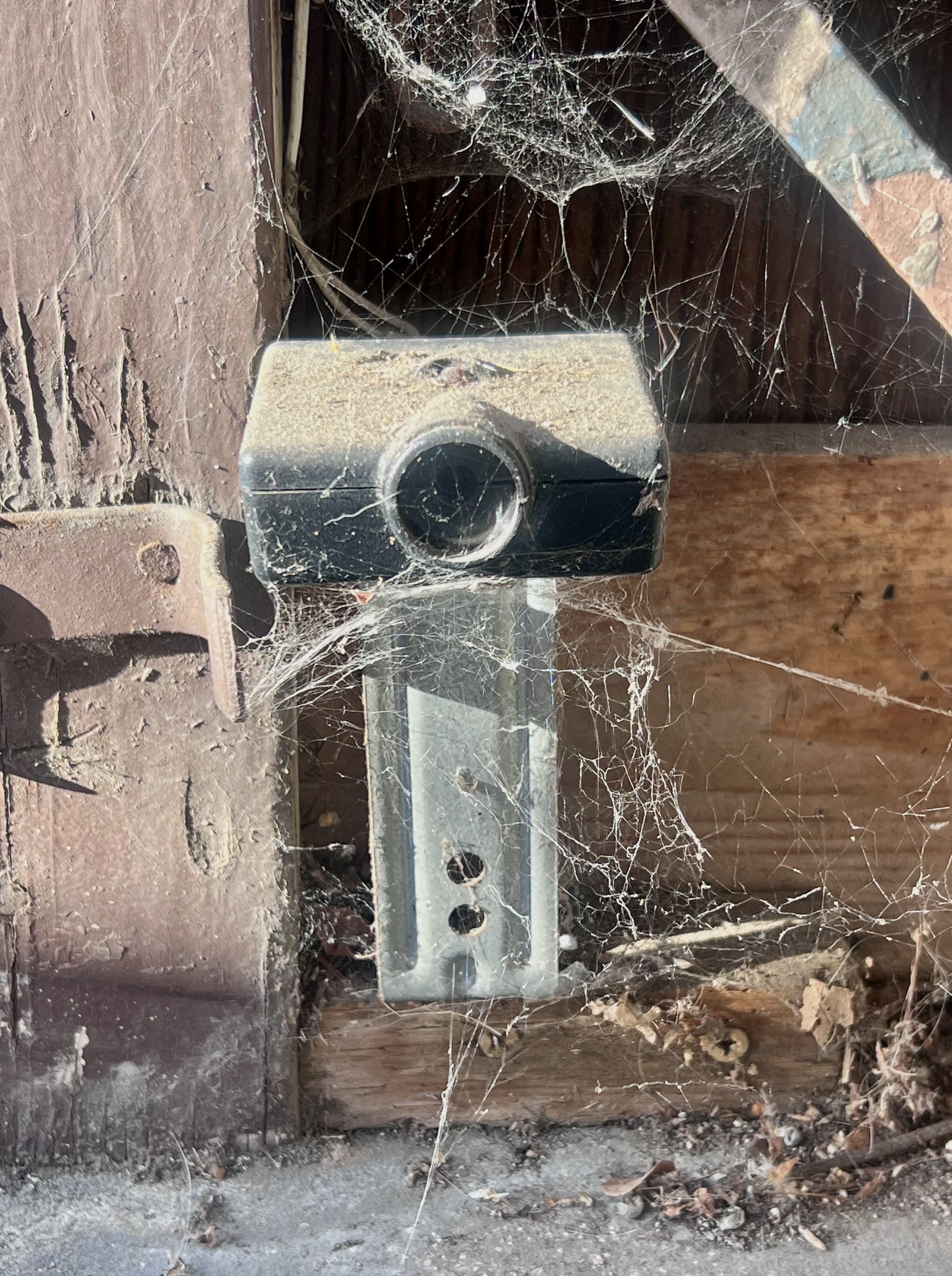 cobwebs over garage door sensors